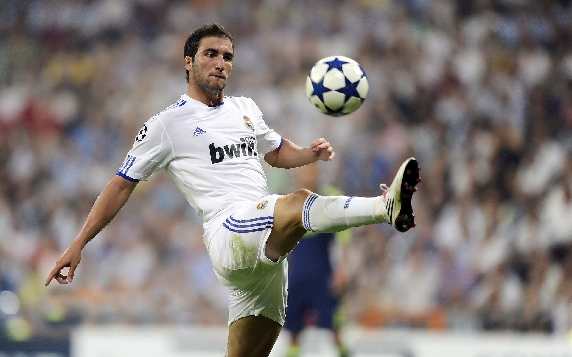 巴黎的独白，当鲁德在年终总决赛的舞台上重写法网记忆